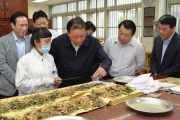 王国强副主任赴浙江省调研医改工作