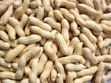 每天10颗花生 减肥抗衰老