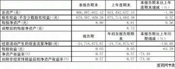 武汉健民药业集团股份有限公司2005第一季度报告（节录）