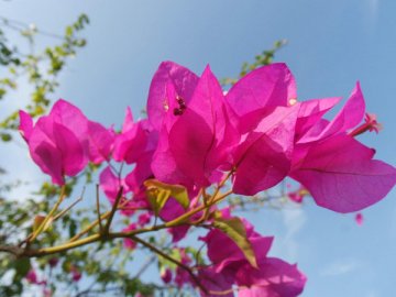 军医课堂：保肾保脾补气 想长寿并不难