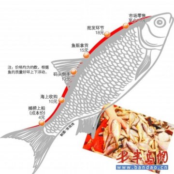 记者揭黄花鱼从捕捞到市场加价路：经5次倒手