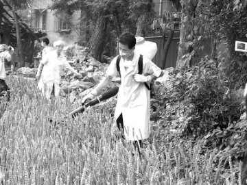 如何消毒与除臭
