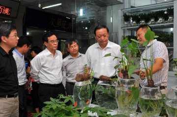国家卫生计生委副主任王国强督导广西藏族自治区登革热、埃博拉出血热和艾滋病防控工作