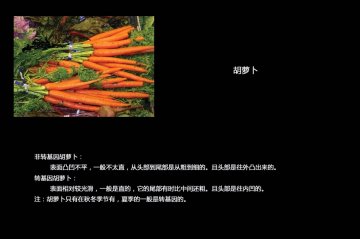 如何分辨转基因食品