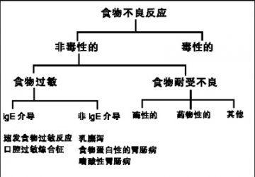 食物过敏 最伤婴幼儿