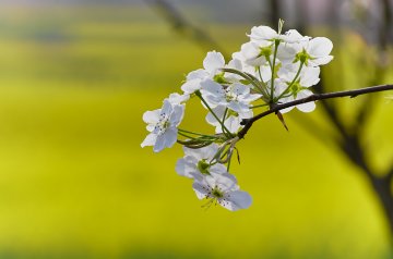 春季吹风莫忽视风险