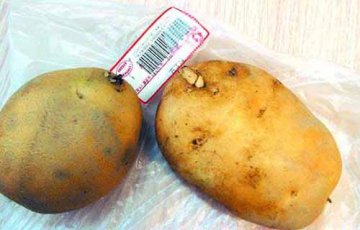 吃14种家常食物易中毒身亡 看看你常吃吗？