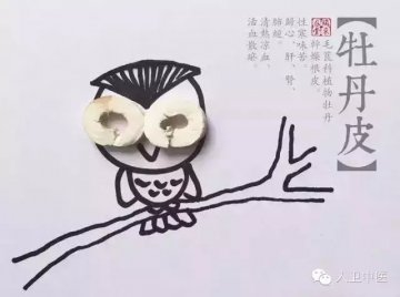 中药也可以萌萌哒