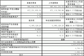 四川迪康科技药业股份有限公司2005年第一季度报告（节录）
