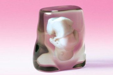 日本公司用3D技术制作胚胎模型纪念品