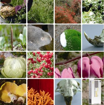 中科院藏药研究重点实验室正式成立
