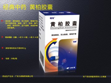 黄柏胶囊-(国药准字Z44020679)精美广告图欣赏