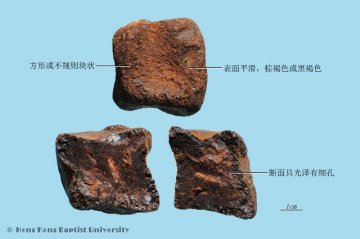 儿茶（Ercha）中药材鉴别相册