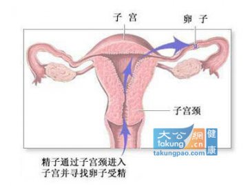 女性避孕：目击女人避孕全过程