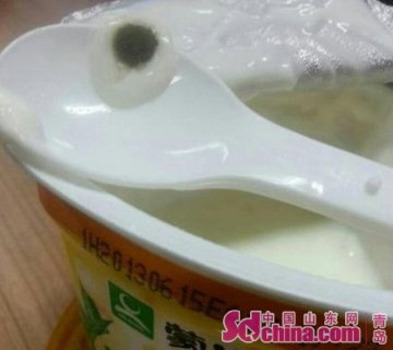 蒙牛大果粒保质期内现霉斑 厂家称允许有坏包率