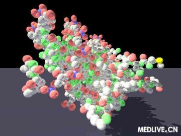 Nature：德国发现一种可提高记忆力蛋白质