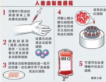 英科学家用干细胞培养出万能O型血