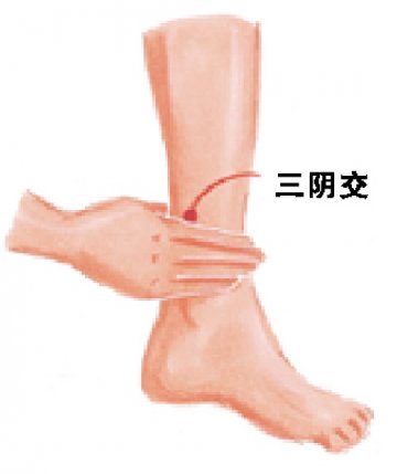 强肾养生可延年益寿