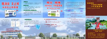 消炎止咳胶囊(含半枝莲胶囊)-官方高清创意广告(黔药广审(文)第2011120176号)