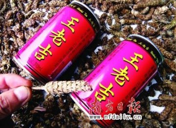 卫生部拟为夏枯草正名 凉茶行业将平息质疑