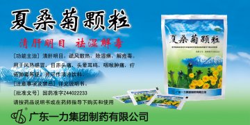 夏桑菊颗粒-官方高清创意广告(粤药广审(文)第2012080368号)