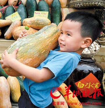增城白水寨景区举办“零污染土产美食节”