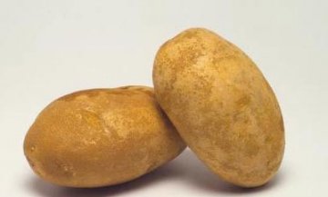 素食也滋补 冬季“素补”保健康