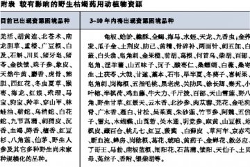 未来十年什么药材最赚钱？
