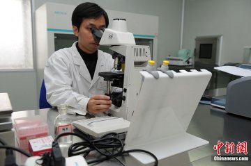 医生在检验精液