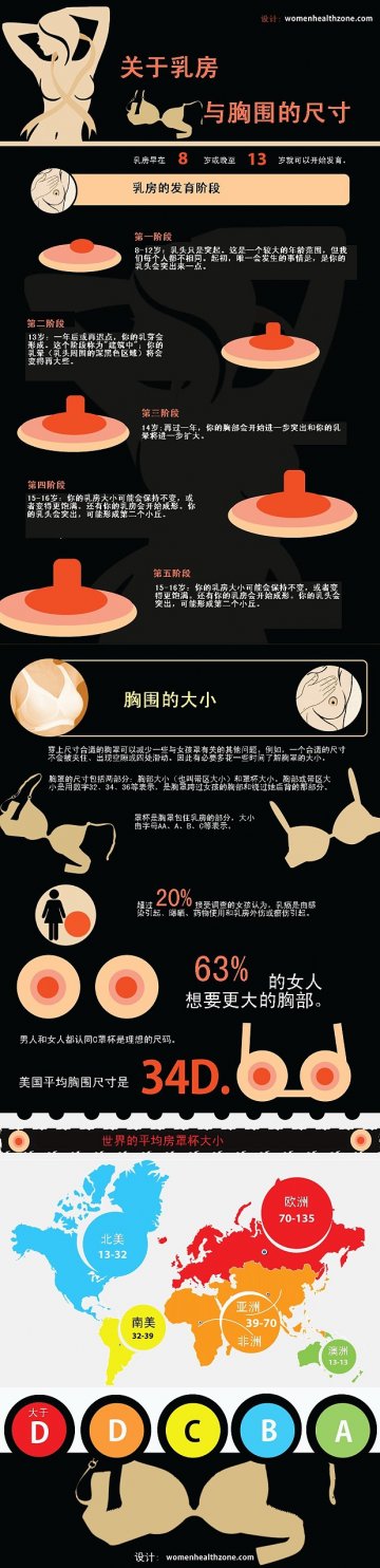 信息图：乳房与胸围