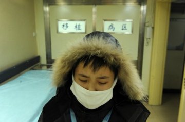 12岁男孩休学献骨髓救母续：手术顺利进行