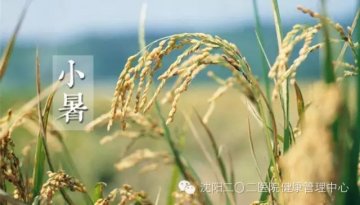 军医提醒：小暑养生，过这五关