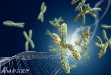 长寿的18个秘诀