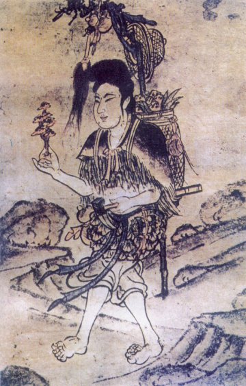 灵芝是否越大越好？如何挑选灵芝