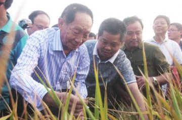 袁隆平：黄金大米对中国没什么用