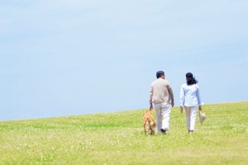 绿地散步降心率 可减压延寿增加安全感
