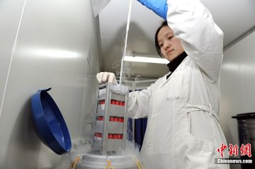 存储精子的冷冻罐
