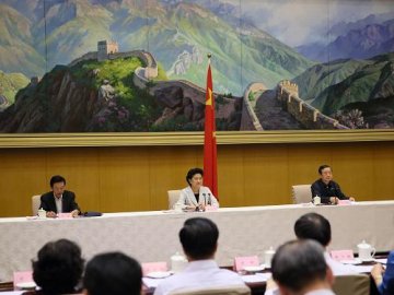 刘延东：坚持为人民健康服务 推动医改取得新进展