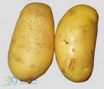 冬季养生锦囊：冬季饮食补维C防疾病
