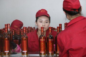 走进宁夏红