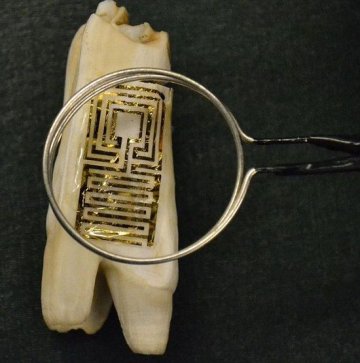 美科学家发明