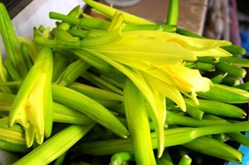 这4种菜天生就有毒
