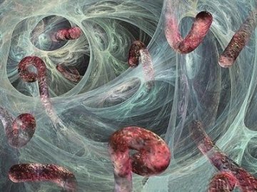 香港首现埃博拉病毒疑似病例：史上最强病毒