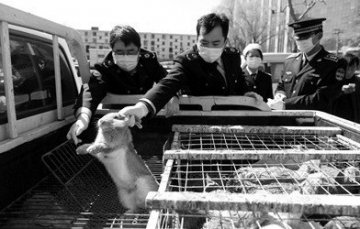 北京防控H7N9形势不容忽视 不排除华东病例入京