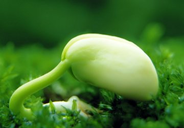 立春养生：补肝升阳六个要诀