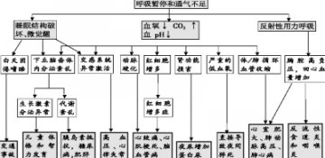 睡眠呼吸疾病与慢性疾病的关系