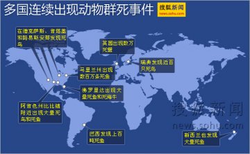 多国出现动物群死事件 异常天气可能是原因