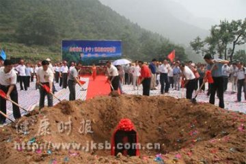 翅果油树有望成为中国植物名片