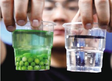 宁波菜场疑现色素豌豆 泡过后留下一杯绿水