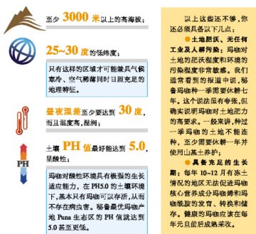 5A玛咖就是这样炼成的！